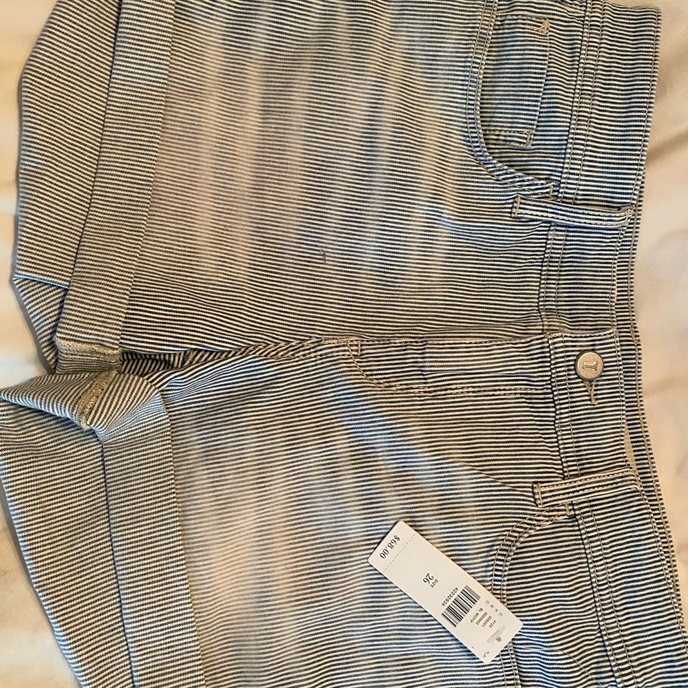 Anthropology Shorts